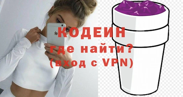 хмурый Пересвет