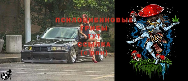 эйфоретик Покров