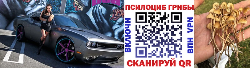 shop какой сайт Тихвин Галлюциногенные грибы ЛСД где продают наркотики