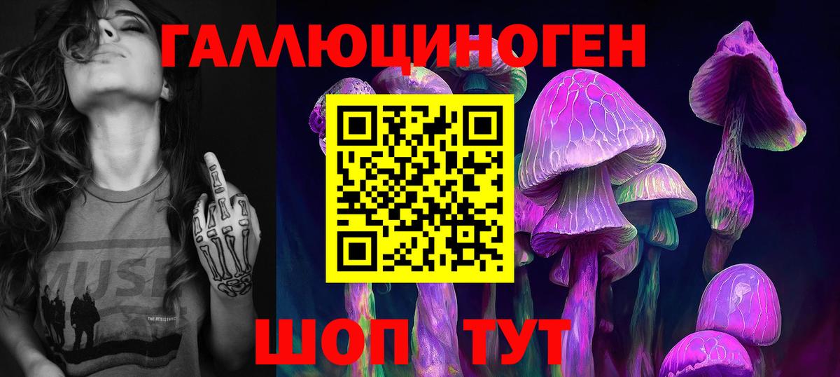 Псилоцибиновые грибы Psilocybe  Вход с VPN  где можно купить наркотик  Псилоцибиновые грибы GOLDEN TEACHER  Тихвин 